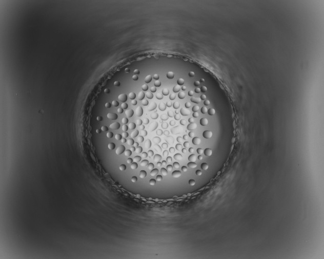 X0000089400199200706291413