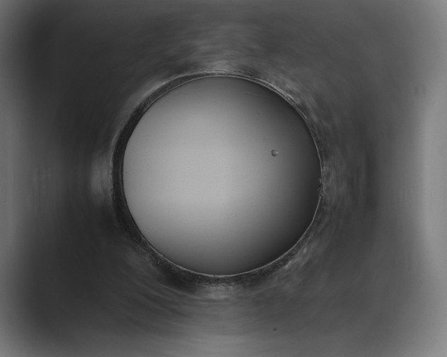 X0000089400200200706291413