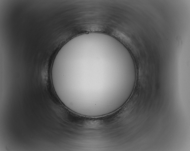 X0000089400202200706291413