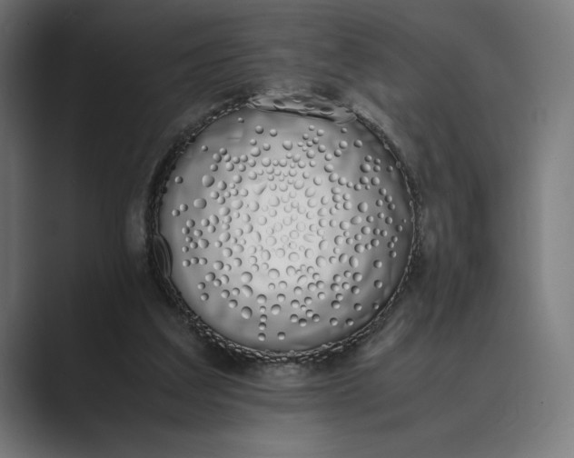 X0000089400203200706291413