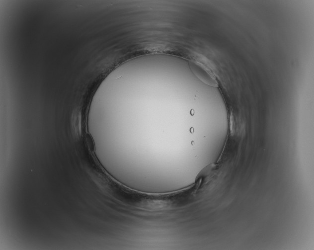 X0000089400205200706291413