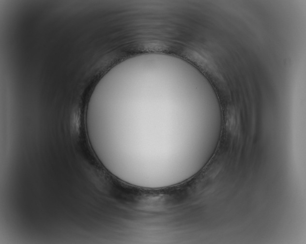 X0000089400206200706291413