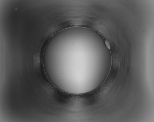 X0000089400207200706291413