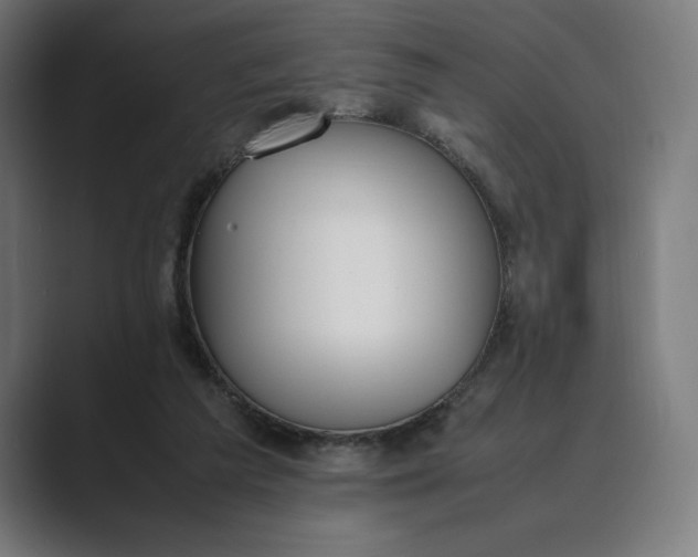 X0000089400209200706291413