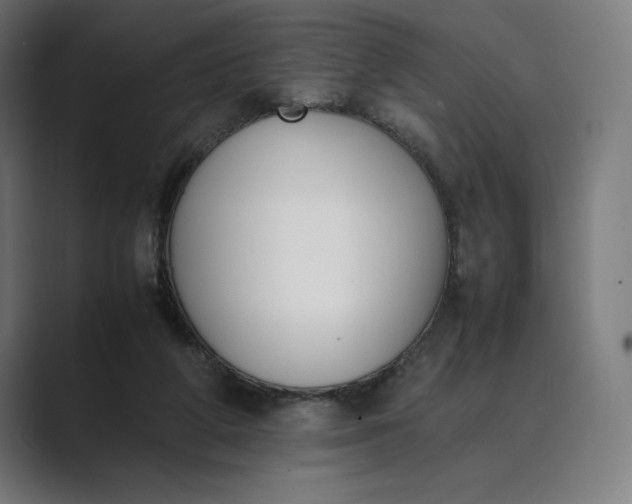 X0000089400210200706291413