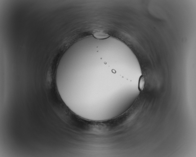 X0000089400215200706291413