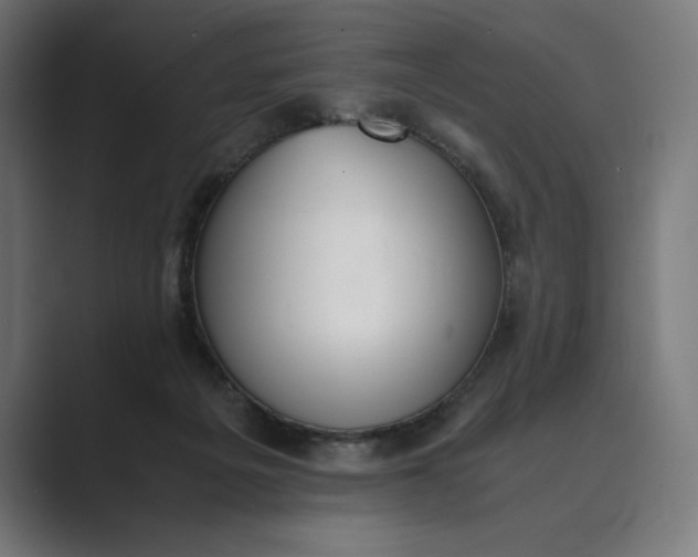 X0000089400217200706291413