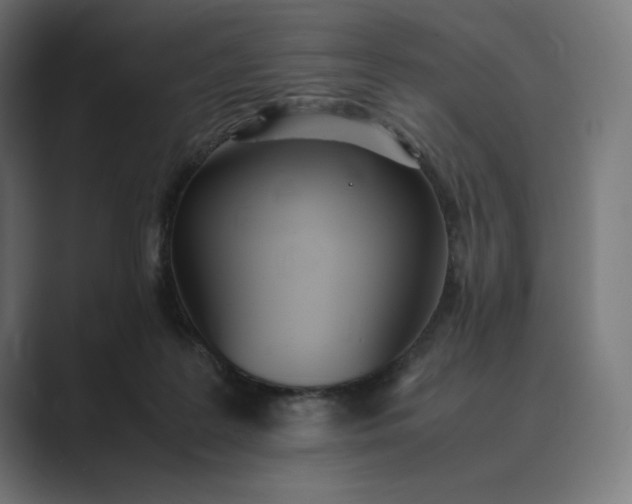 X0000089400219200706291413