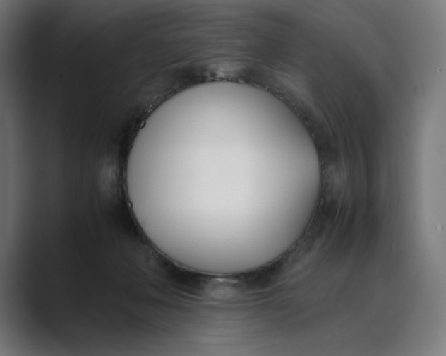 X0000089400222200706291413