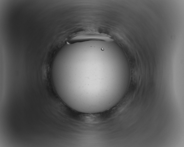 X0000089400229200706291413