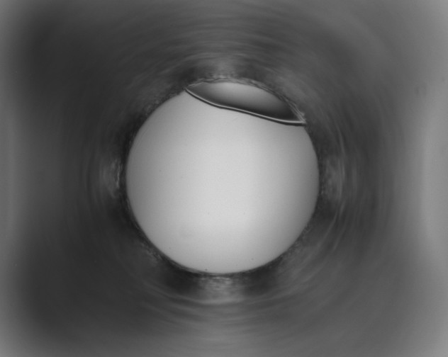 X0000089400230200706291413