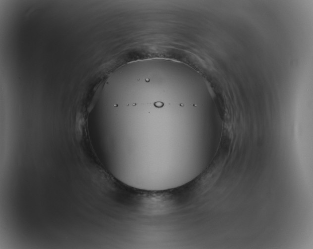 X0000089400235200706291413