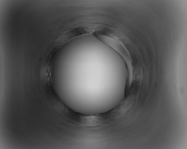 X0000089400237200706291413