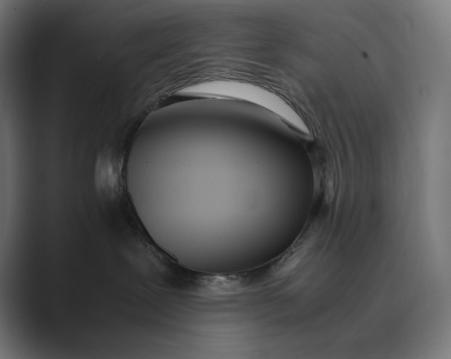 X0000089400239200706291413