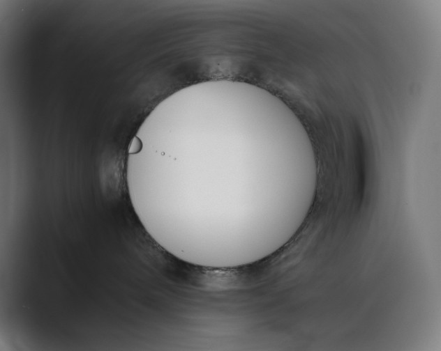 X0000089400240200706291413