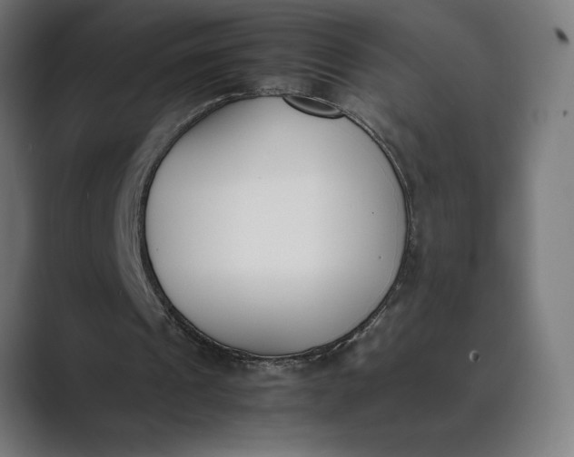 X0000089400241200706291412