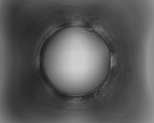 X0000089400243200706291412