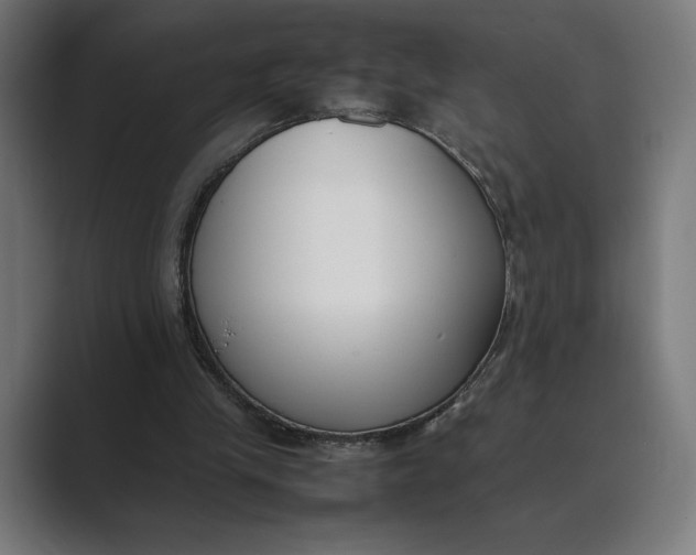 X0000089400245200706291412