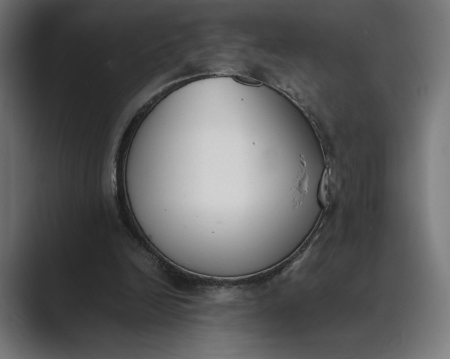 X0000089400246200706291412