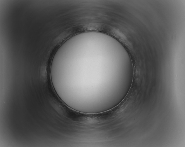 X0000089400250200706291412