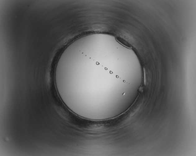 X0000089400252200706291412