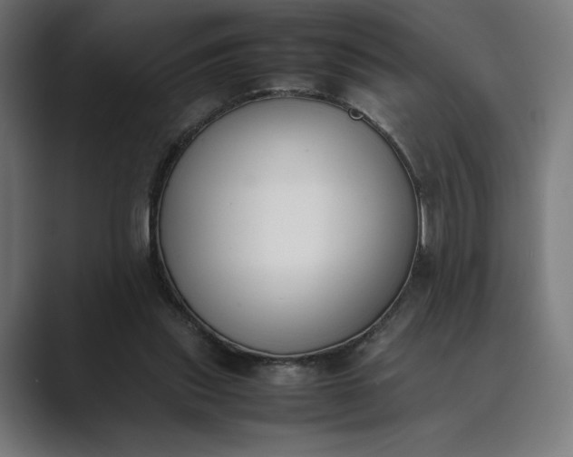 X0000089400253200706291412