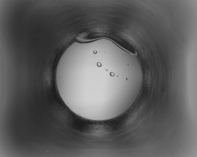 X0000089400255200706291412