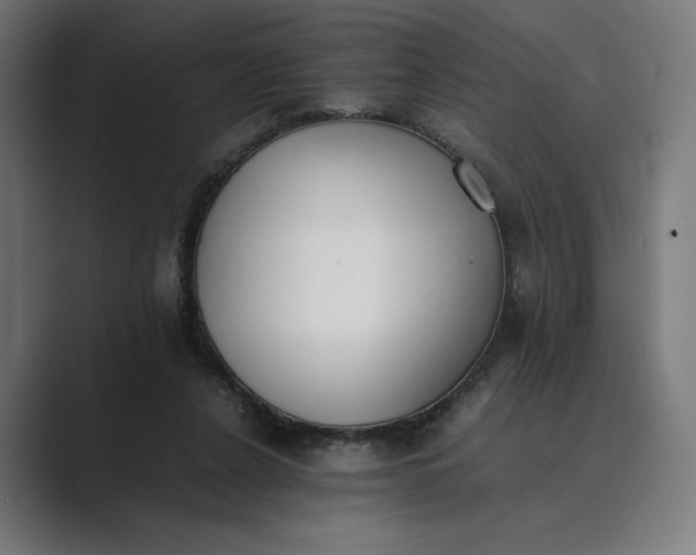 X0000089400256200706291412