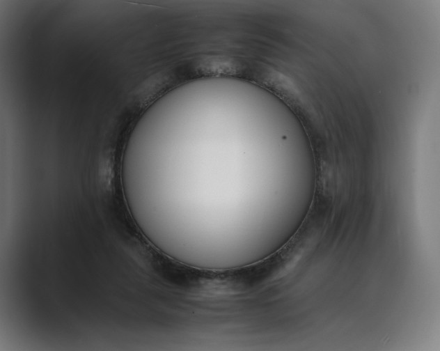 X0000089400259200706291412