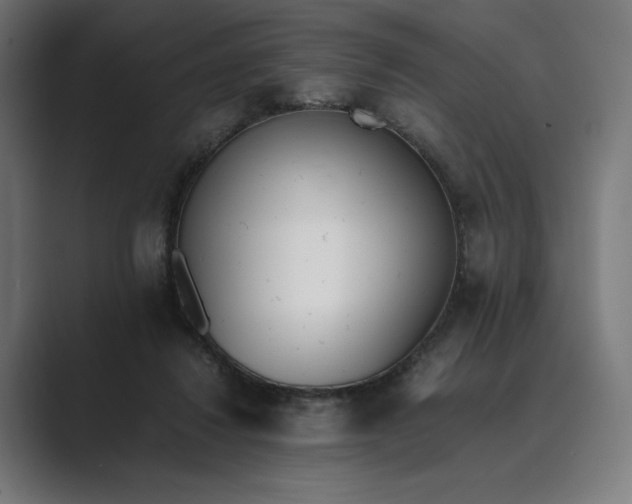 X0000089400260200706291412