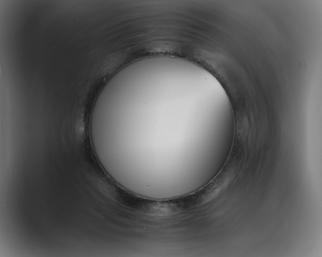 X0000089400261200706291412