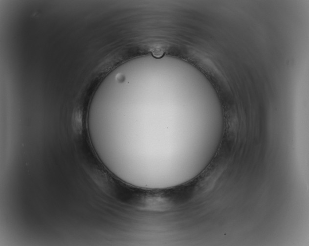 X0000089400262200706291412