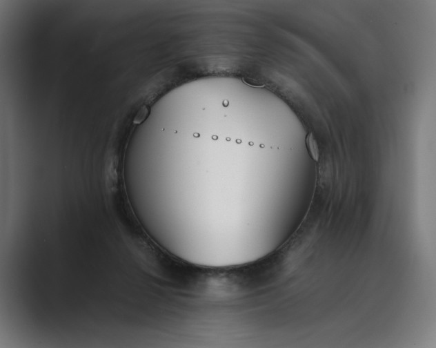 X0000089400264200706291412