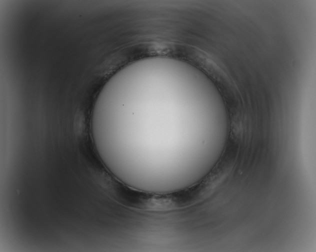 X0000089400270200706291412