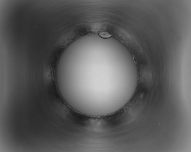 X0000089400272200706291412