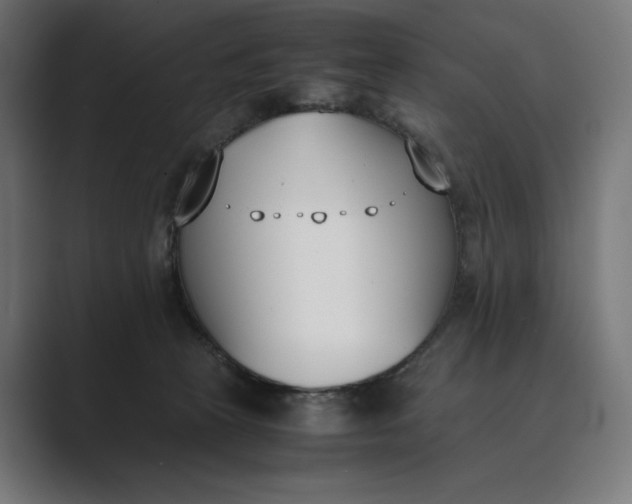 X0000089400273200706291412