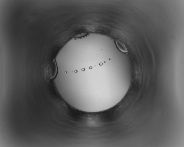 X0000089400275200706291412