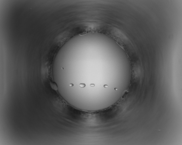 X0000089400276200706291412