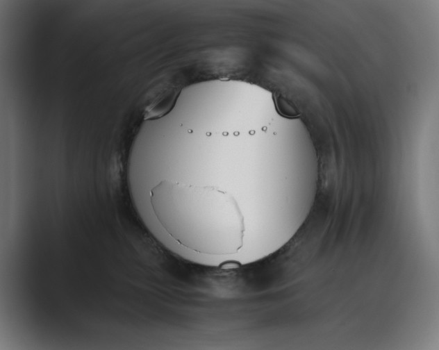 X0000089400279200706291412