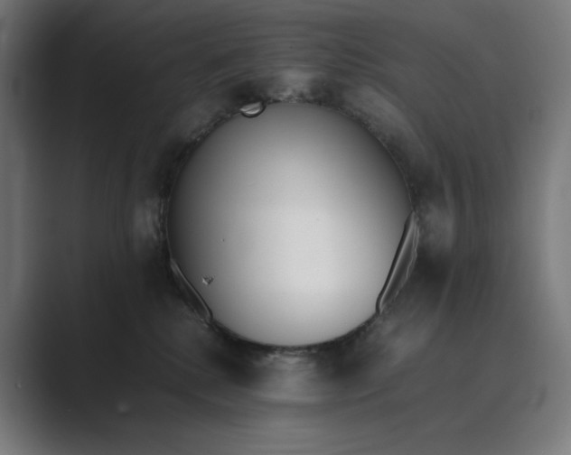 X0000089400280200706291412