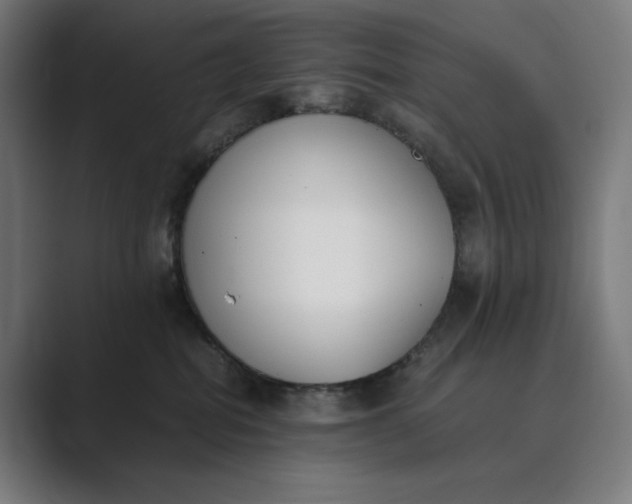 X0000089400282200706291412