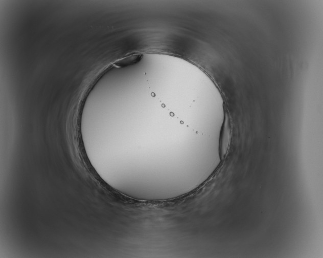 X0000089400289200706291412