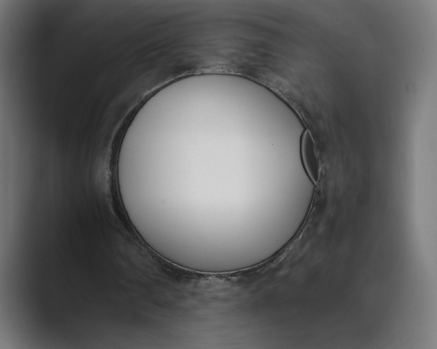 X0000089400290200706291412