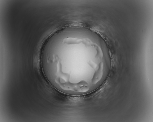 X0000089400293200706291412