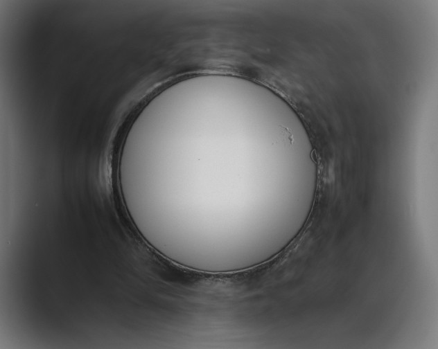 X0000089400294200706291412