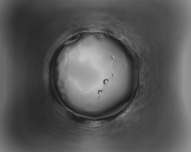 X0000089400295200706291412