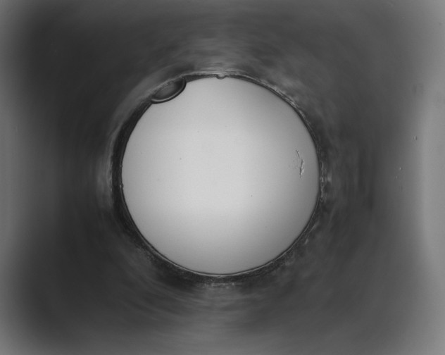 X0000089400296200706291412