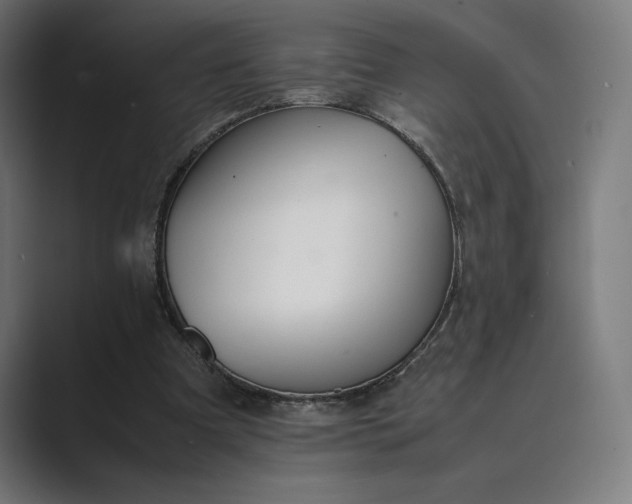 X0000089400297200706291412