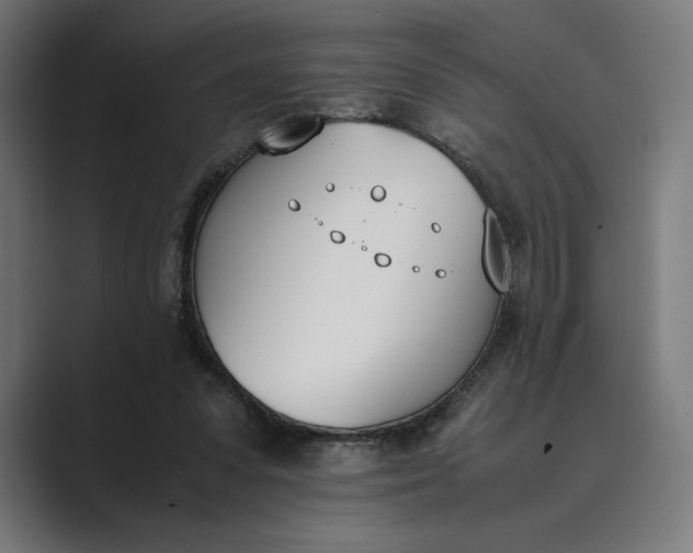 X0000089400303200706291412