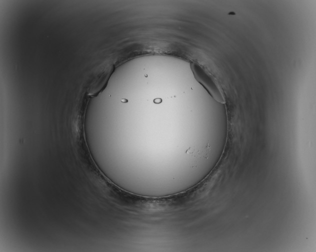 X0000089400305200706291412